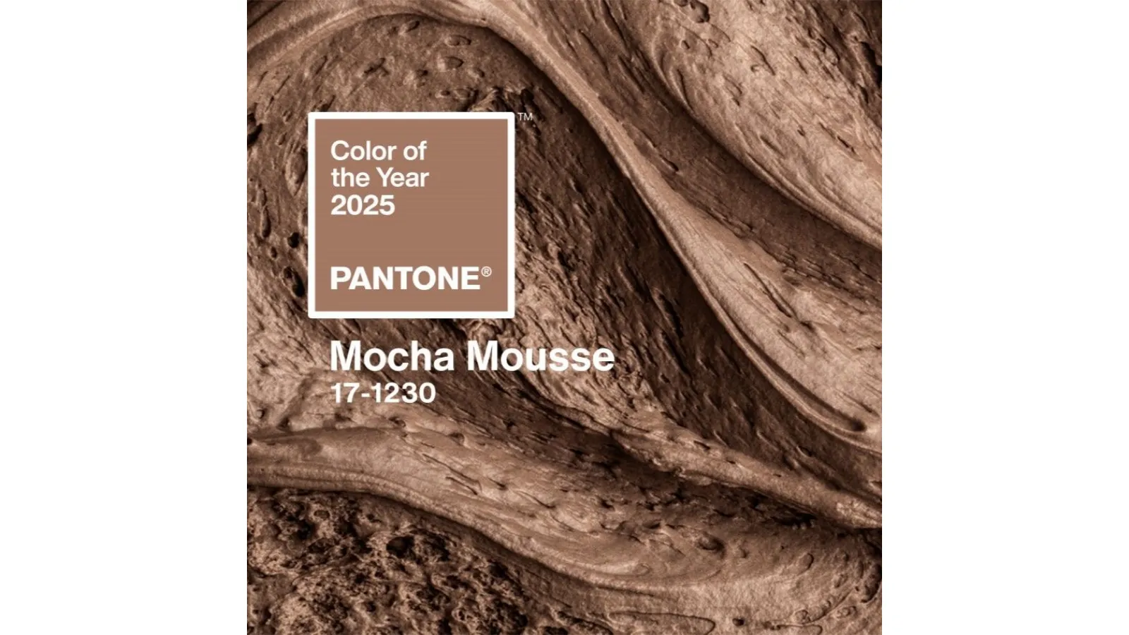 PANTONE 171230 MOCHA MOUSSE IL COLORE DEL 2025